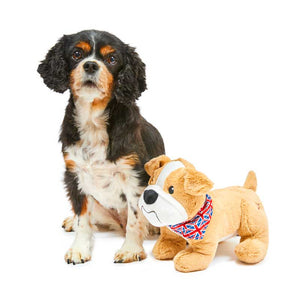 Petface Bailey Bulldog image 9