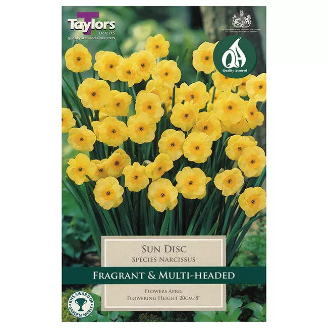 Narcissus 'Sun Disc' Daffodils (9 bulbs) image 0