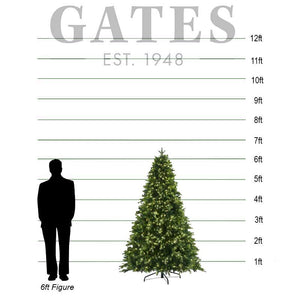 Bosk Oakley Fir Pre-Lit Christmas Tree - 6.5ft image 1