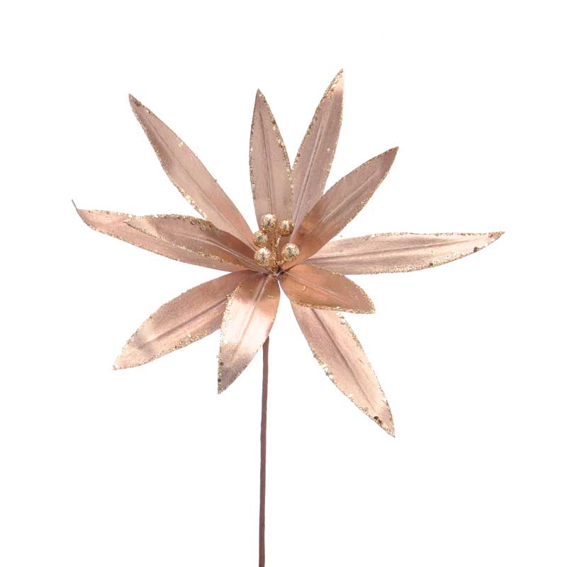 Festive Champagne Gold Papyrus Stem (45cm) image 0