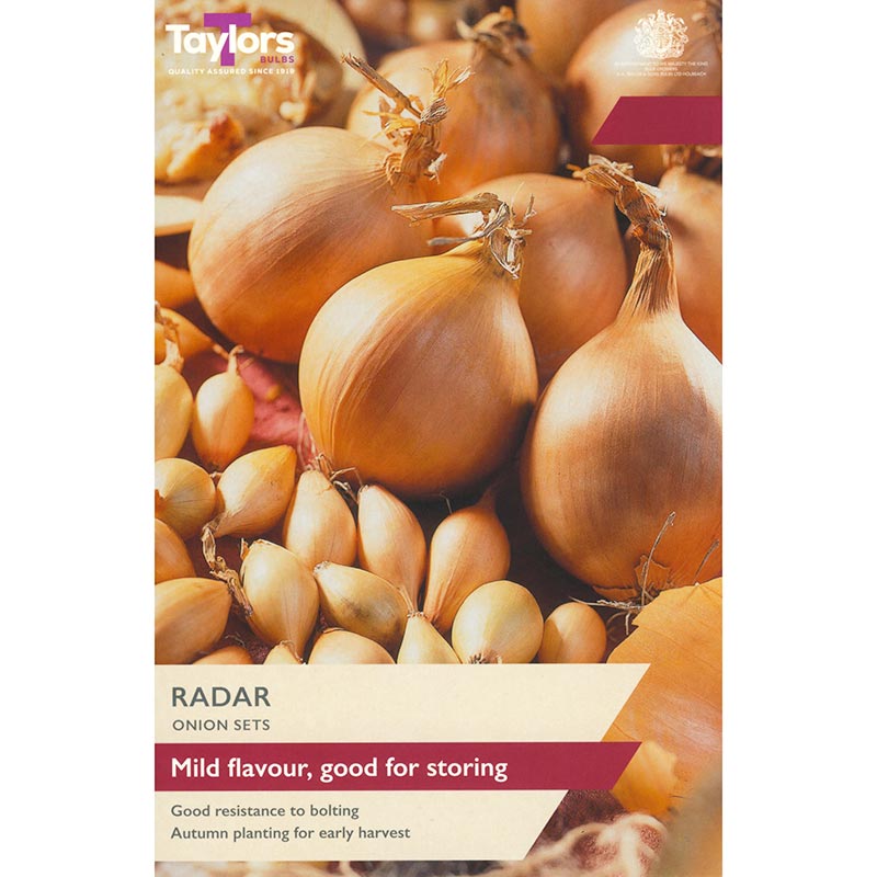 'Radar' Onion Sets (50 Bulbs) image 0