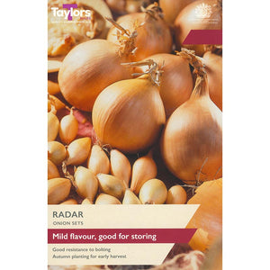 'Radar' Onion Sets (50 Bulbs) image 0