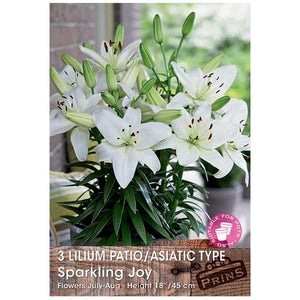 Lilium 'Patio/Asiatic Type Sparkling Joy' Bulbs image 0