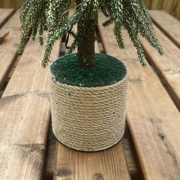 Beautiful Christmas Droopy Tops Pine