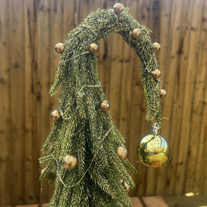 Beautiful Christmas Droopy Tops Pine