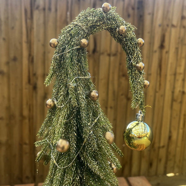 Beautiful Christmas Droopy Tops Pine