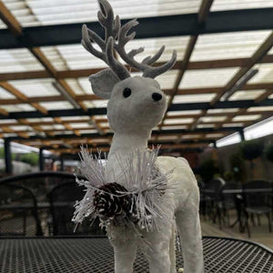 Beautiful christmas frost dusted woodland stag