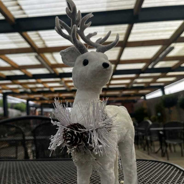 Beautiful christmas frost dusted woodland stag