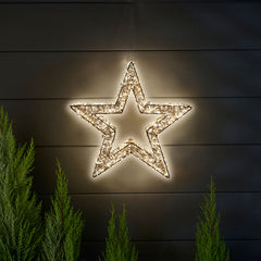 Beautiful Christmas Stella Ultra Star