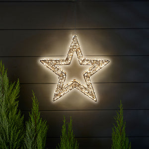 Beautiful Christmas Stella Ultra Star