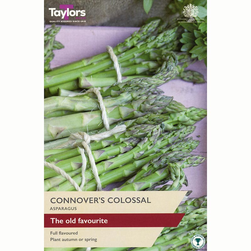 Asparagus ‘Connovers Colossal’ (2 Crowns) image 0