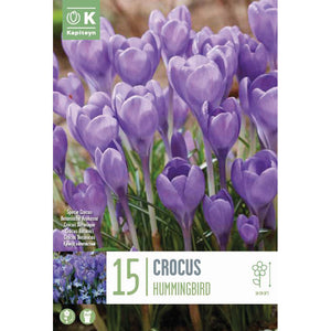 Crocus ‘Hummingbird’ (15 Bulbs) image 0