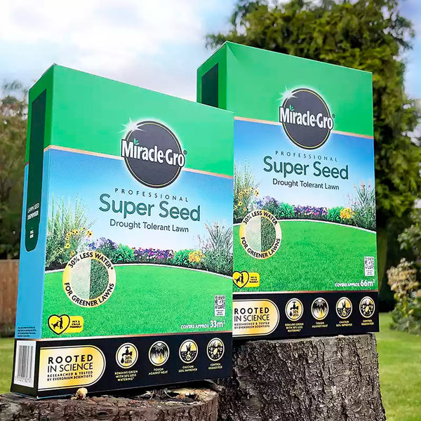 Miracle-Gro Professional Super Seed for Drought Tolerant Lawns image 0