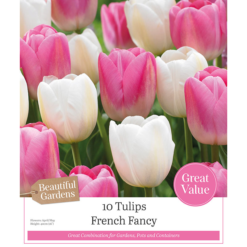 Tulip ‘French Fancy’ (10 Bulbs) image 0