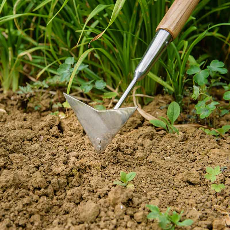 Kent & Stowe Stainless Steel Long Handled Multi Weeder image 0