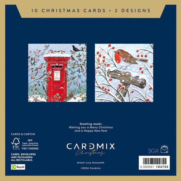 Bird Postbox Meeting Christmas Cards (Pack of 10)