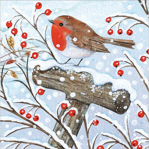 Bird Postbox Meeting Christmas Cards (Pack of 10)