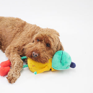 Joules Frog Dog Toy image 4