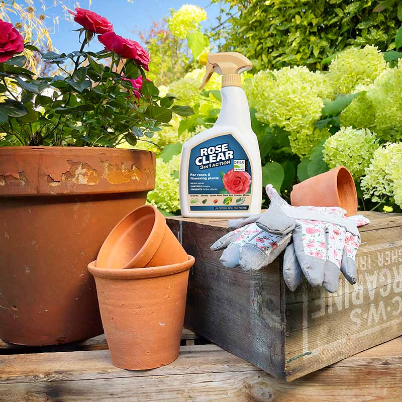 RoseClear 3 in 1 RTU Insecticide & Fungicide Spray image 0