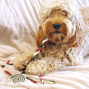 Cupid & Comet Rawhide-Free Bumper Gift Bag image 1