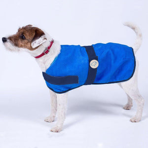 Zoon Uber-Activ Cooling Dog Coat image 0