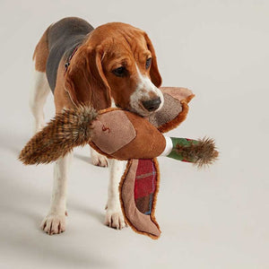 Joules Plush Pheasant Dog Toy image 3