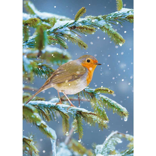 Ling Design Big Value Box - Christmas Animals (Pack of 24) image 4