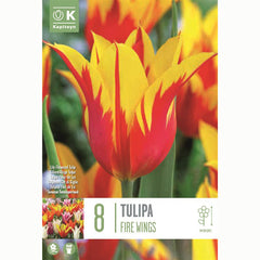 Tulip ‘Fire Wings’ (8 Bulbs) image 0