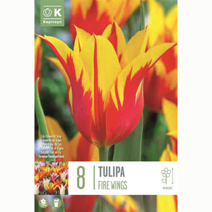 Tulip ‘Fire Wings’ (8 Bulbs) image 0