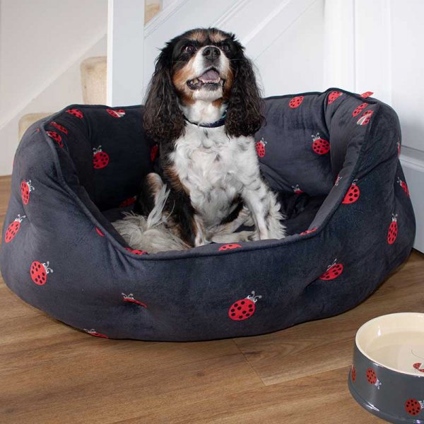 Zoon Ladybug Oval Dog Bed image 0