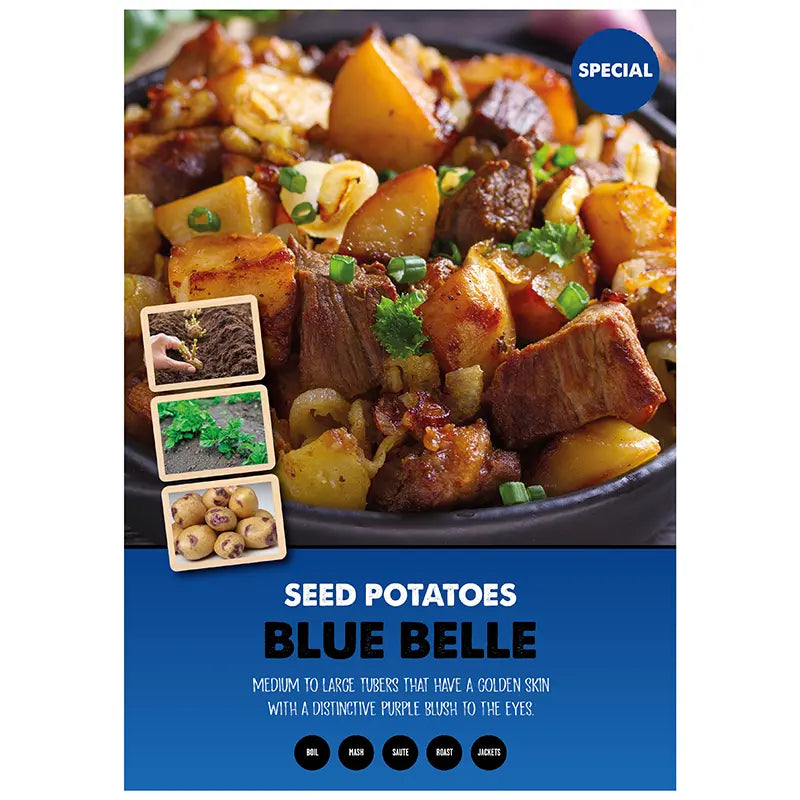 Blue Belle Main Crop Seed Potatoes (2kg bag) image 0