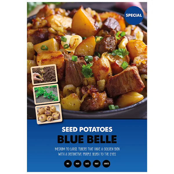 Blue Belle Main Crop Seed Potatoes (2kg bag) image 0