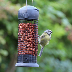 Henry Bell Essential Peanut Feeder image 0
