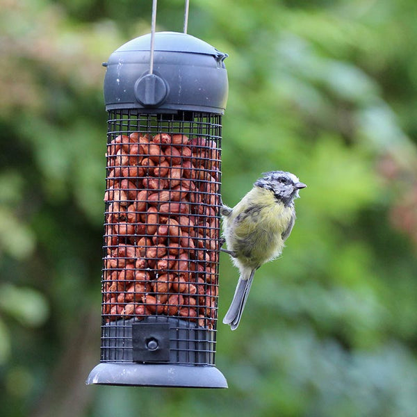 Henry Bell Essential Peanut Feeder image 0