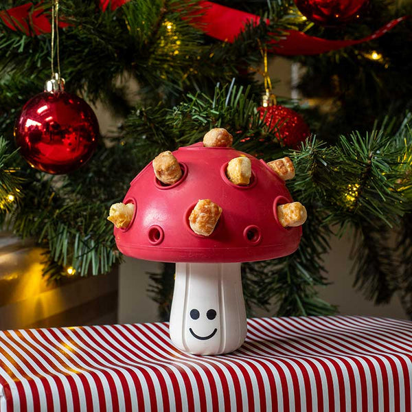 Zoon Treat Dispensing Shroom image 0