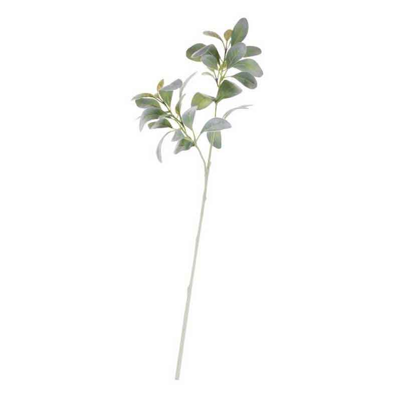 Green Lambs Ear Stem (70cm) image 0