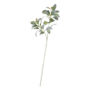 Green Lambs Ear Stem (70cm) image 1