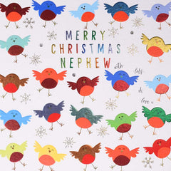 Wendy Jones-Blackett Nephew Robins Christmas Card image 0