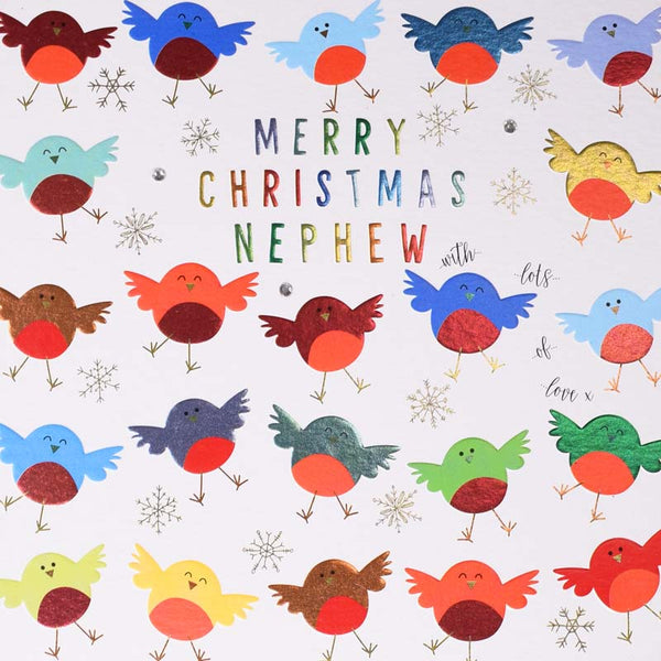 Wendy Jones-Blackett Nephew Robins Christmas Card image 0