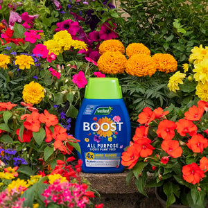 Westland Boost All Purpose Liquid Plant Food (1 litre) image 1