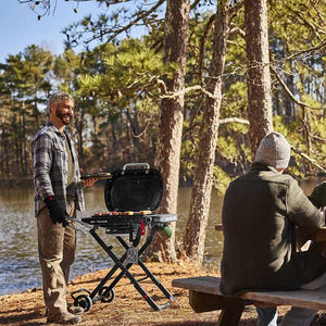 Weber Traveler Compact Portable Gas Grill BBQ with Travel Cart image 2