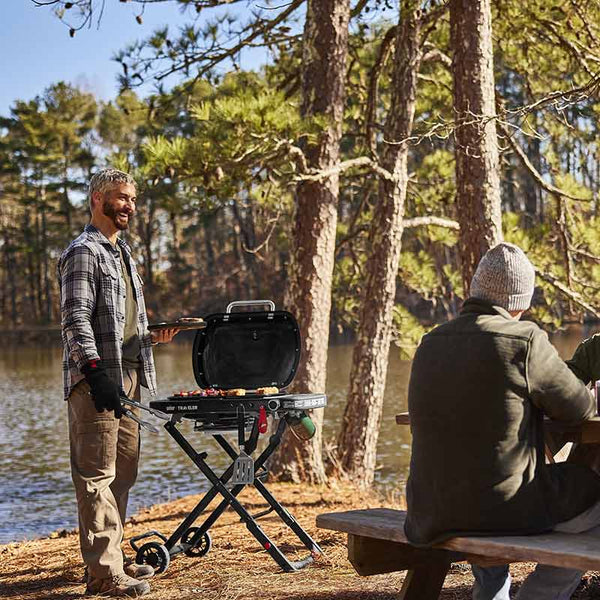 Weber Traveler Compact Portable Gas Grill BBQ with Travel Cart image 2