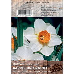 Narcissus 'Barrett Browning' Daffodil (3kg Bag of Bulbs) image 0
