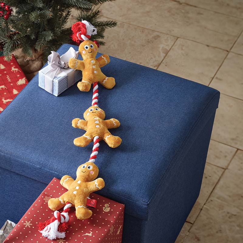 Zoon Xmas Tugga Gingerbread image 0