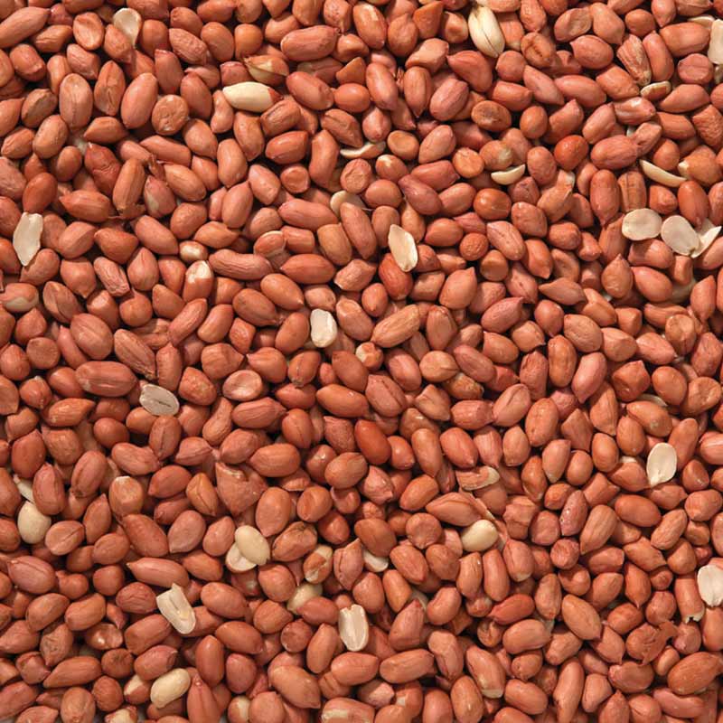 Johnston & Jeff Peanuts 12.75kg Bag image 0