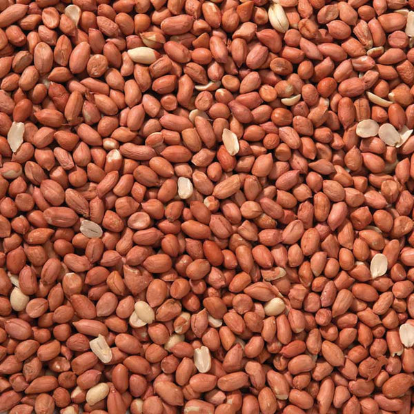 Johnston & Jeff Peanuts 12.75kg Bag image 1