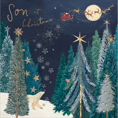 Woodmansterne Polar Bear & Santa Son Christmas Card image 0