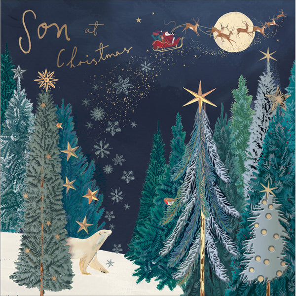 Woodmansterne Polar Bear & Santa Son Christmas Card image 0