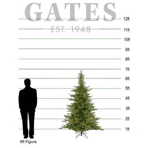Everlands Grandis Fir / Whistler Fir Pre-Lit Christmas Tree – 7ft image 1