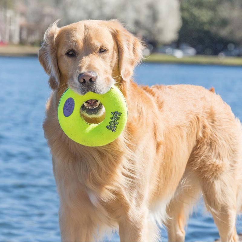 Kong Airdog Squeaker Donut Dog Toy image 0